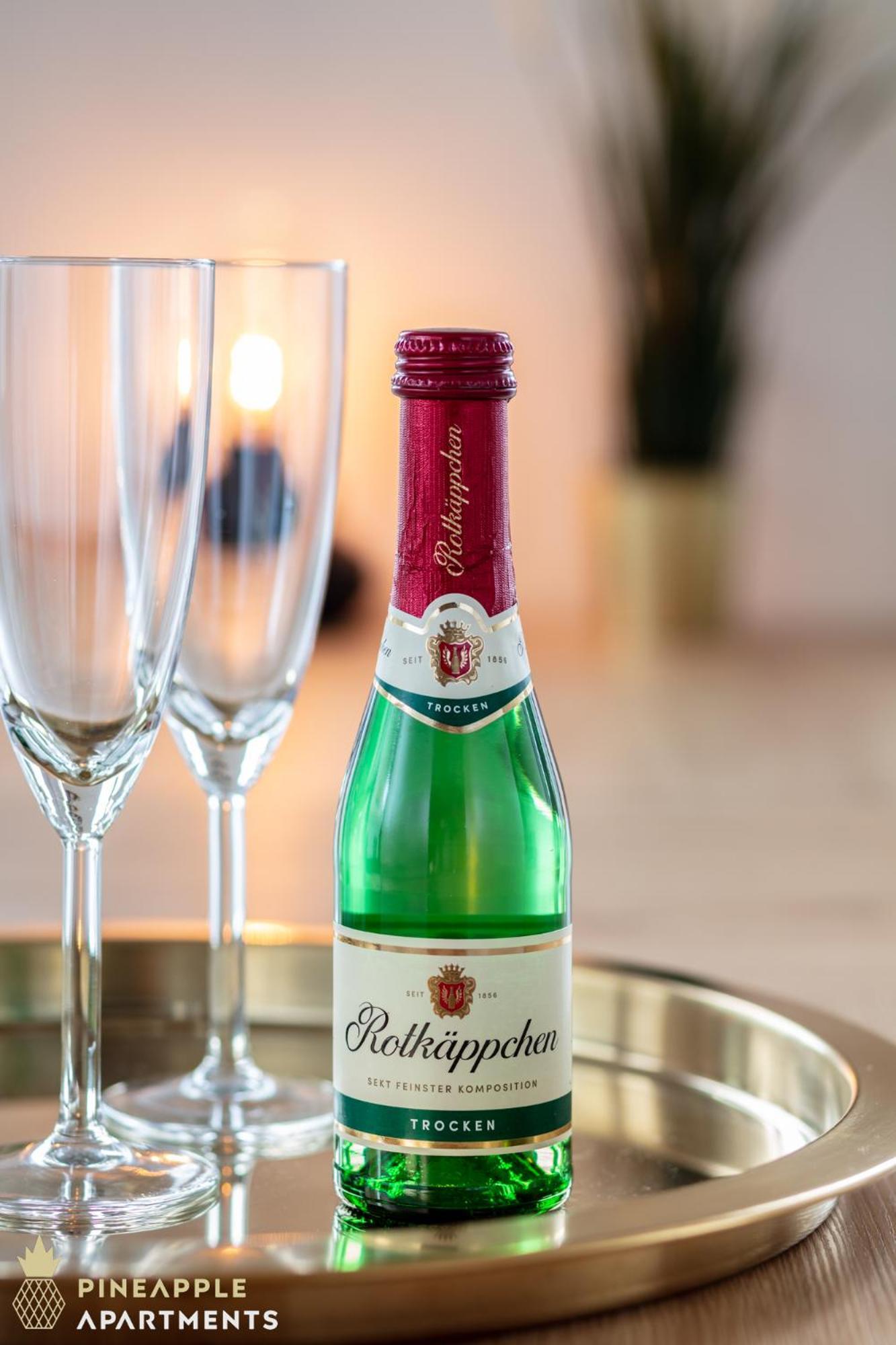 Pineapple Apartments Studio-Apartment Am Zwinger Dresden Ngoại thất bức ảnh